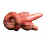 "FEEDING SNAKE" Wooden Kuripe from Waru Wood (Hibiscus tiliaceus)
