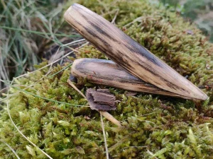 Kuripe Oakwood
