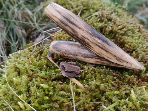 Kuripe Dębowe