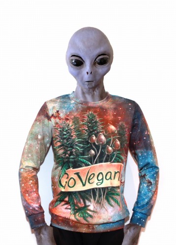 Sweatshirt - Go Vegan