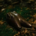 "FROG HEAD" Kuripe from Tamarind Wood (Tamarindus indica)