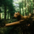 "LIONESS" Tepi Made of Sawo Wood (Manilkara kauki)
