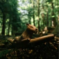 "LIONESS" Tepi Made of Sawo Wood (Manilkara kauki)