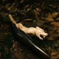 "JAGUAR" Tepi Made of Indian Rosewood (Dalbergia latifolia)