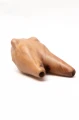 "FROG HEAD" Kuripe from Dark Waru Wood (Acacia melanoxylon)