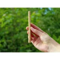 Miswak – Natural Toothbrush for Teeth and Gums