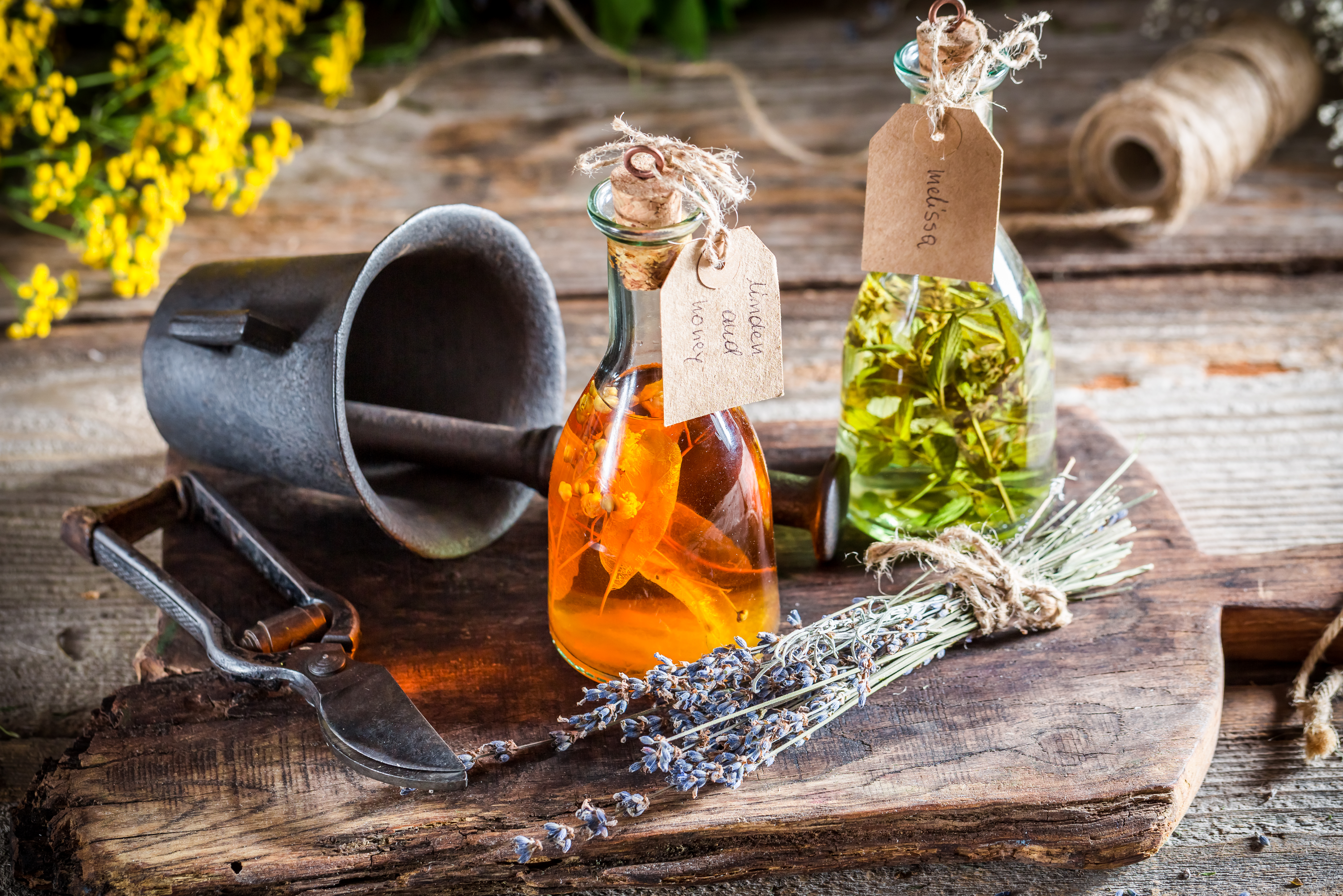 Alte Weisheit mit moderner Wellness verbinden: Integration von Rapé und Sananga in Heilpraktiken