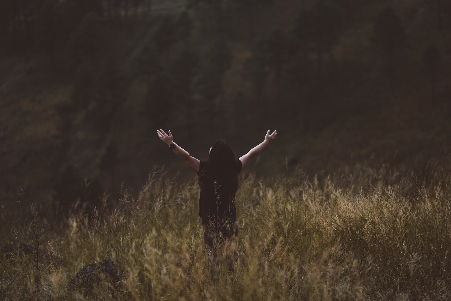 Die heilende Kraft der Vergewaltigung: Eine Reise durch uralte Weisheit, spirituelles Wachstum und persönliche Transformation