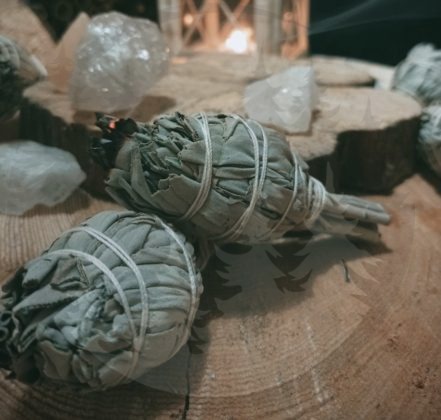 Salvia Apiana - ¿Qué es?