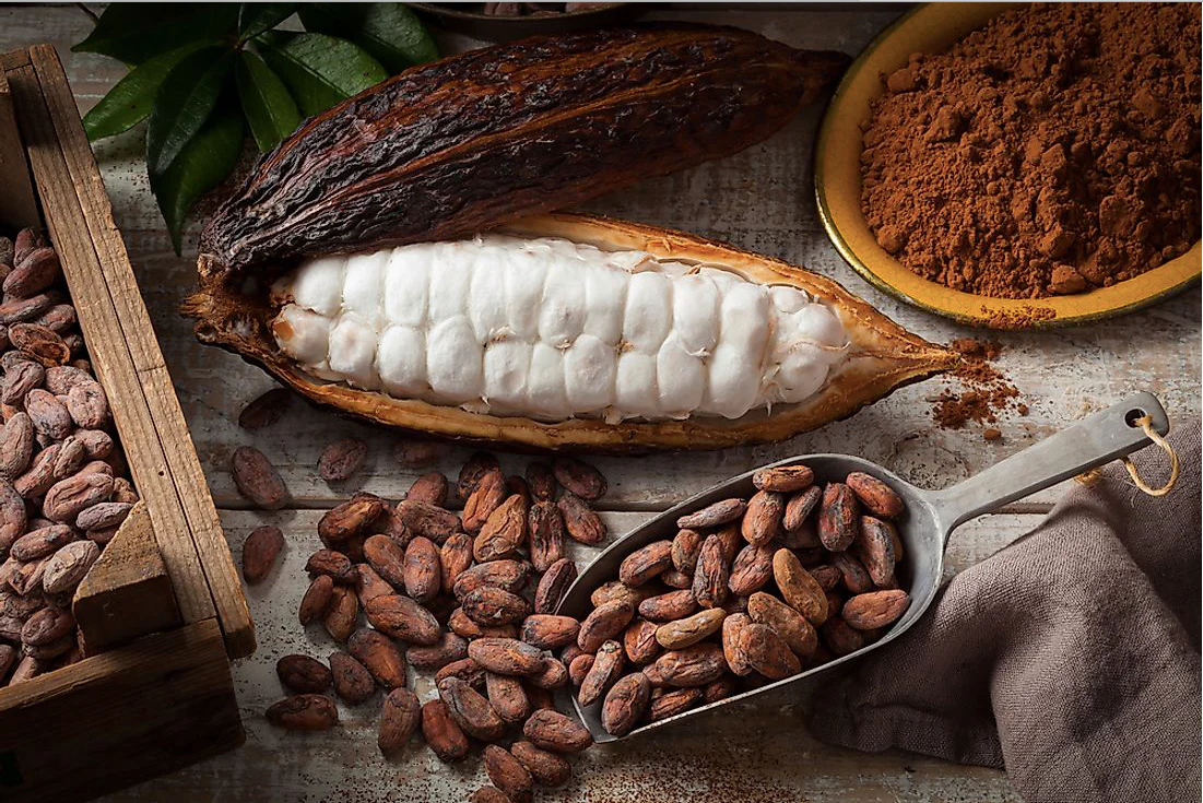 The Power of Ceremonial Cocoa: Unlocking the Ancient Tradition and Benefits for Mind, Body, and Spirit