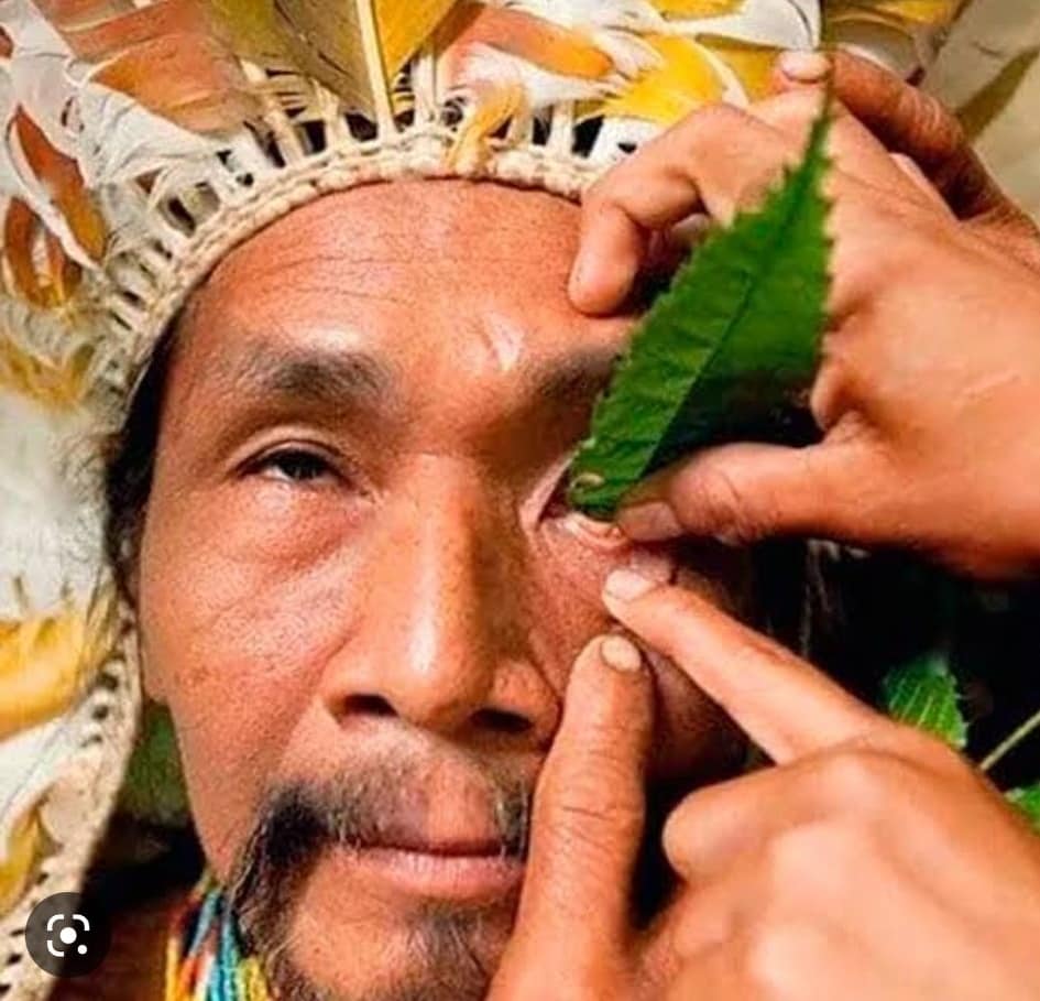 A Beginner's Guide to Rapé and Sananga: Discovering the Healing Potential of These Ancient Plant Medicines and Their Uses in Modern Spiritual Practices