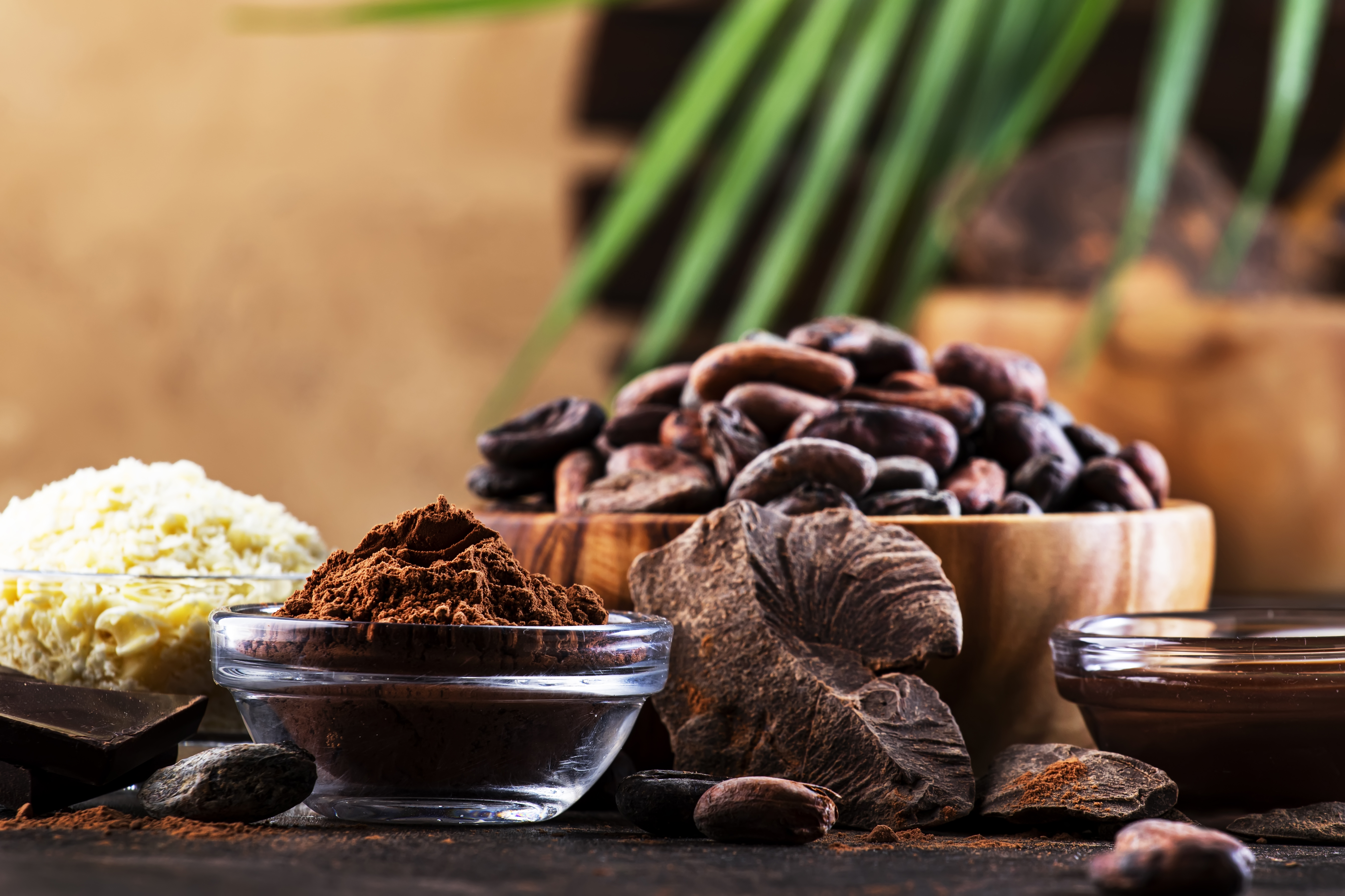 The Ancient Wisdom of Ceremonial Cocoa: Emotional Balance, Spiritual Growth, and Mindful Living