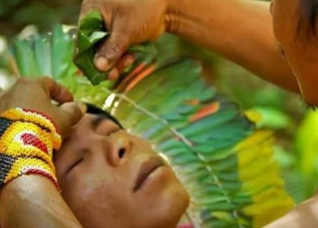 Illuminating the Path with Sananga: The Power and Wisdom of Amazonian Eye Drops